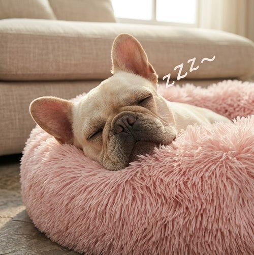 Bouledogue français endormi la tête sur le bord d'un lit donut en peluche rose