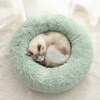 Chat endormi en boule dans un lit donut en peluche vert