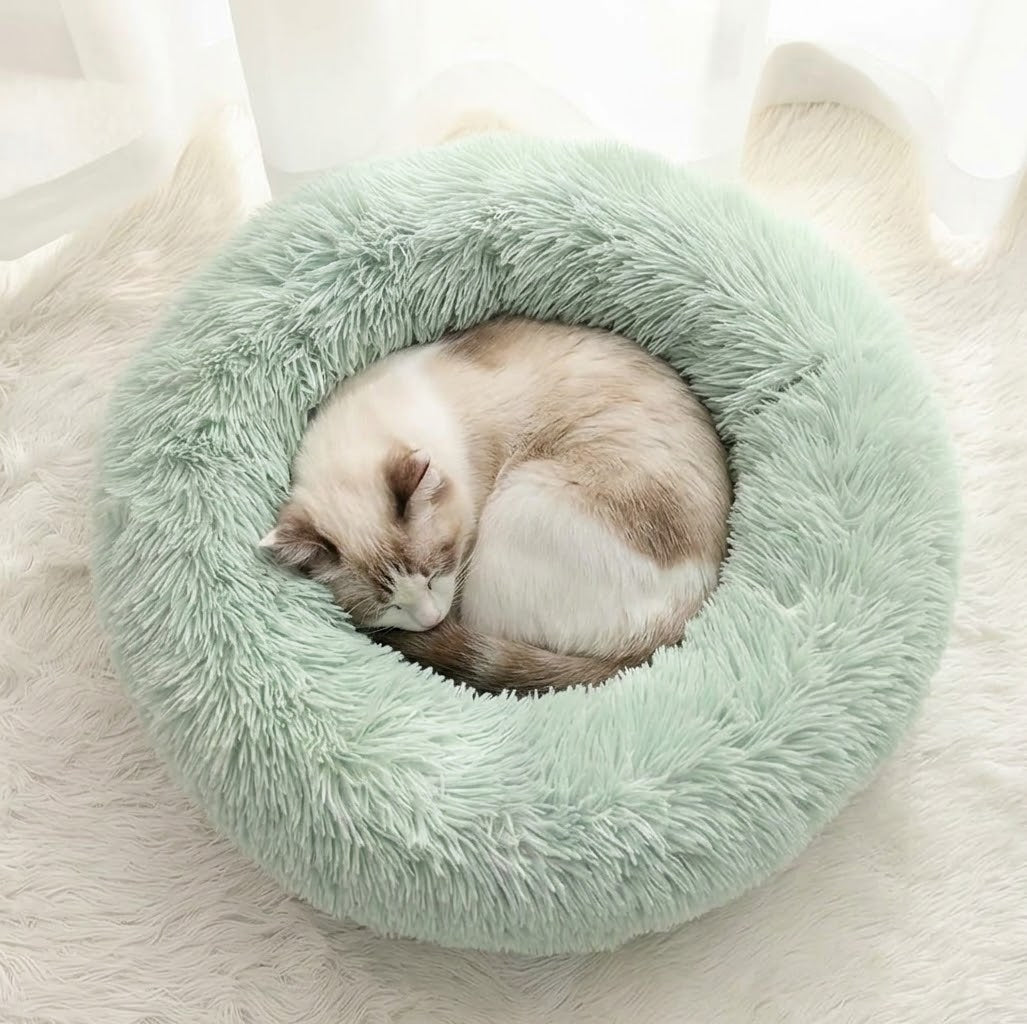 Chat endormi en boule dans un lit donut en peluche vert